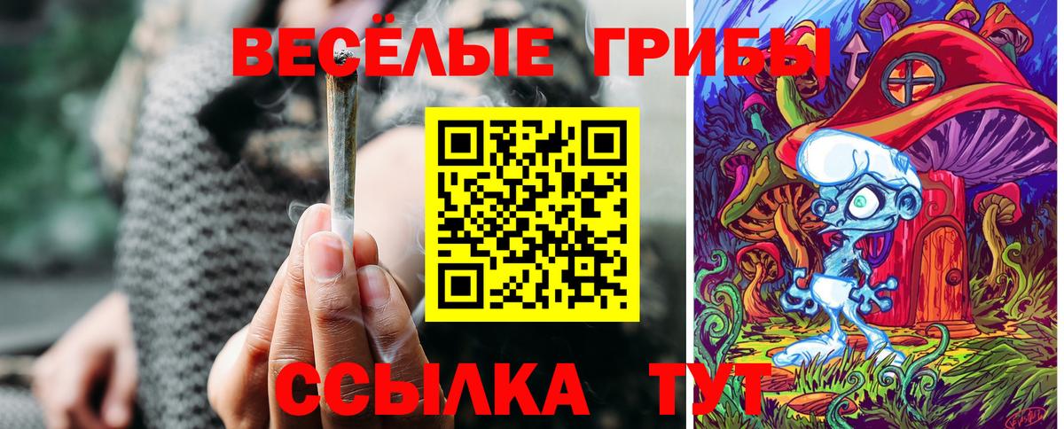 Псилоцибиновые грибы GOLDEN TEACHER Георгиевск