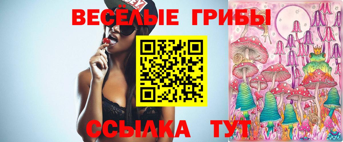 Галлюциногенные грибы прущие грибы  Галлюциногенные грибы ЛСД  Вход с VPN  Георгиевск 