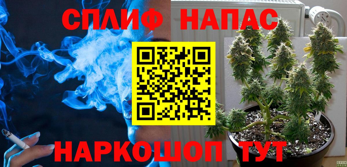 ГАШ Георгиевск